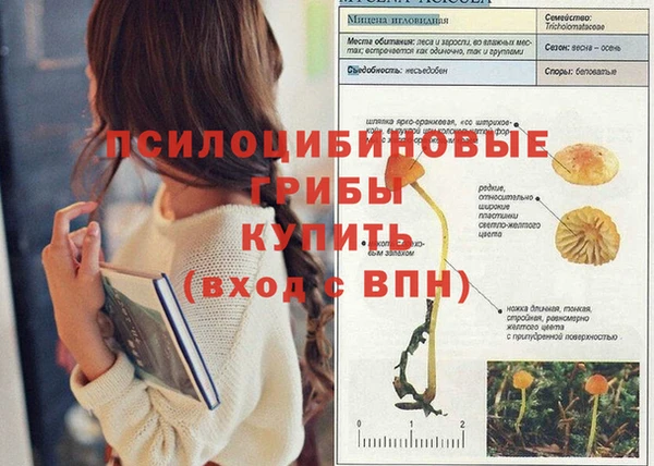 mdpv Волосово