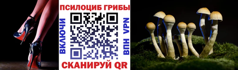 MEGA зеркало  что такое наркотик  Пестово  Псилоцибиновые грибы MAGIC MUSHROOMS 